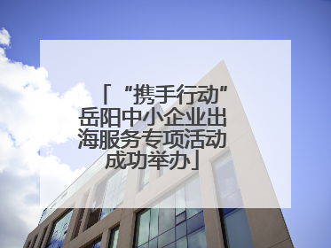 “携手行动”岳阳中小企业出海服务专项活动成功举办