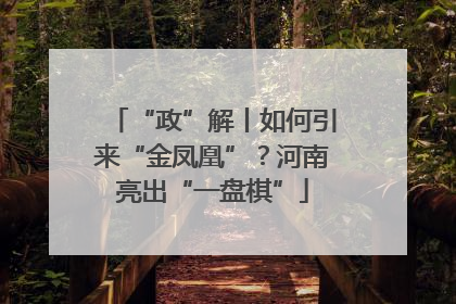 “政”解丨如何引来“金凤凰”？河南亮出“一盘棋”