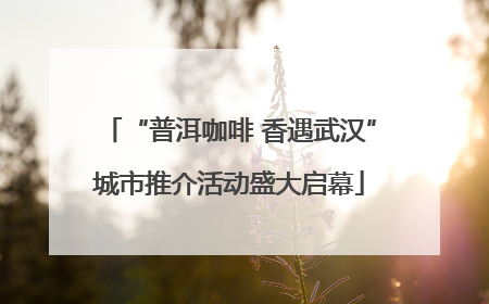 “普洱咖啡 香遇武汉”城市推介活动盛大启幕