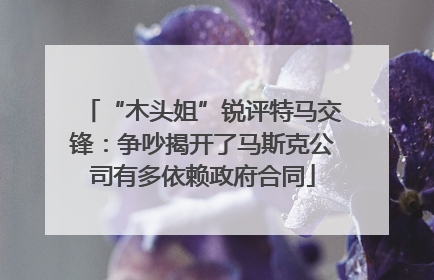 “木头姐”锐评特马交锋：争吵揭开了马斯克公司有多依赖政府合同