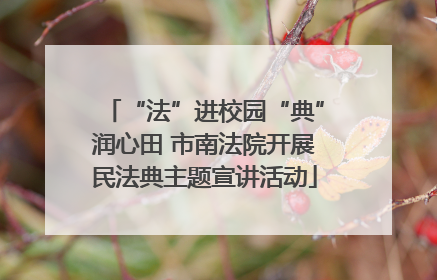 “法”进校园“典”润心田 市南法院开展民法典主题宣讲活动