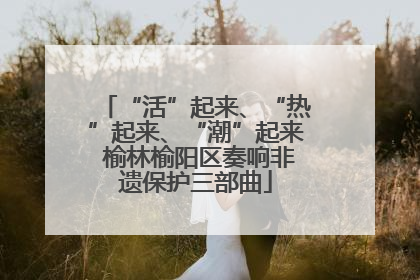 “活”起来、“热”起来、“潮”起来 榆林榆阳区奏响非遗保护三部曲