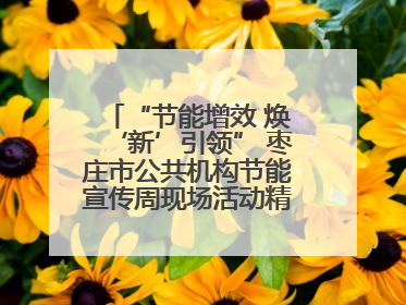 “节能增效 焕‘新’引领” 枣庄市公共机构节能宣传周现场活动精彩纷呈