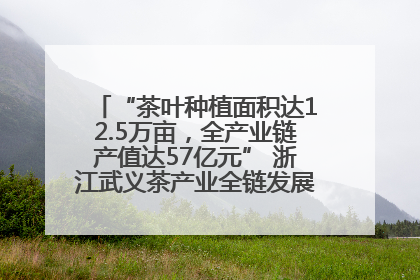 “茶叶种植面积达12.5万亩，全产业链产值达57亿元” 浙江武义茶产业全链发展“加速度”