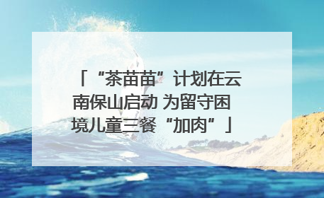 “茶苗苗”计划在云南保山启动 为留守困境儿童三餐“加肉”