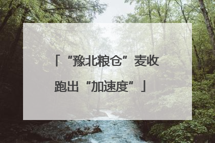 “豫北粮仓”麦收跑出“加速度”