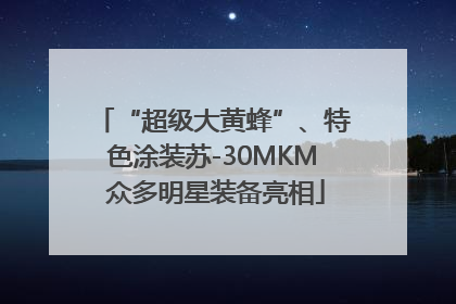 “超级大黄蜂”、特色涂装苏-30MKM 众多明星装备亮相