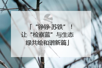 “铮铮·苏铁”！让“检察蓝”与生态绿共绘和谐新篇