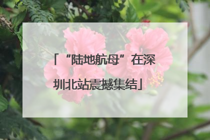 “陆地航母”在深圳北站震撼集结