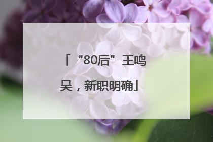 “80后”王鸣昊，新职明确