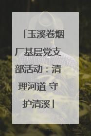 玉溪卷烟厂基层党支部活动：清理河道 守护清溪