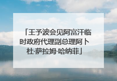 王予波会见阿富汗临时政府代理副总理阿卜杜·萨拉姆·哈纳菲