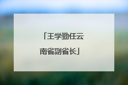 王学勤任云南省副省长