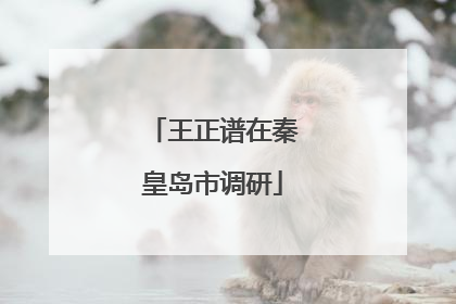 王正谱在秦皇岛市调研