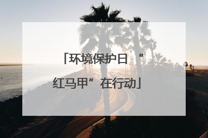 环境保护日 “红马甲”在行动