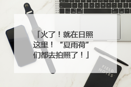 火了！就在日照这里！“夏雨荷”们都去拍照了！