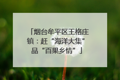 烟台牟平区王格庄镇：赶“海洋大集” 品“百果乡情”