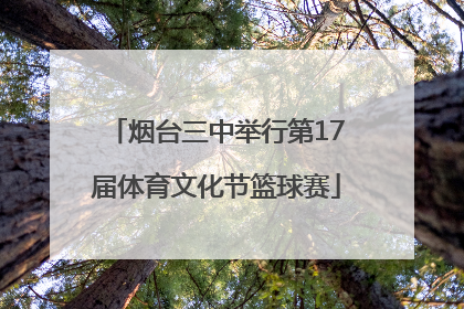 烟台三中举行第17届体育文化节篮球赛