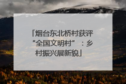 烟台东北桥村获评“全国文明村”：乡村振兴展新貌