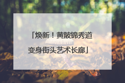 焕新！黄陂锦秀道变身街头艺术长廊