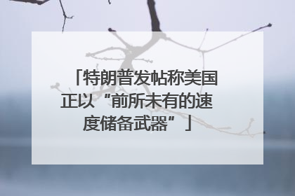 特朗普发帖称美国正以“前所未有的速度储备武器”