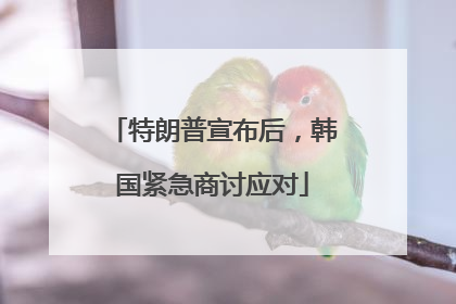 特朗普宣布后，韩国紧急商讨应对