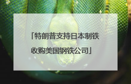 特朗普支持日本制铁收购美国钢铁公司