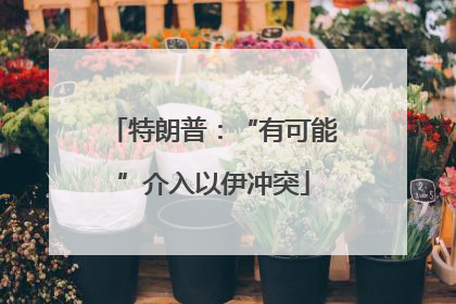特朗普：“有可能”介入以伊冲突