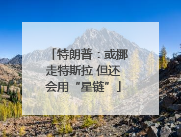 特朗普：或挪走特斯拉 但还会用“星链”