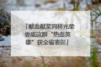 献血献浆同样光荣 娄底这群“热血英雄”获全省表彰