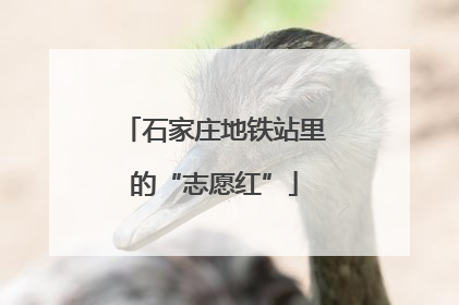 石家庄地铁站里的“志愿红”