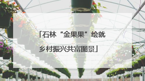 石林“金果果”绘就乡村振兴共富图景