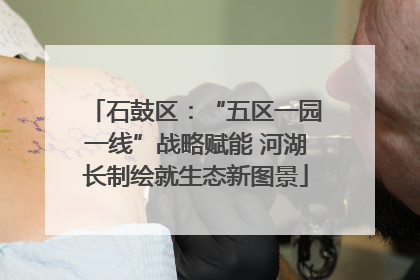 石鼓区：“五区一园一线”战略赋能 河湖长制绘就生态新图景
