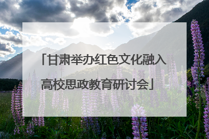 甘肃举办红色文化融入高校思政教育研讨会
