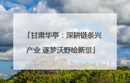 甘肃华亭：深耕链条兴产业 逐梦沃野绘新景