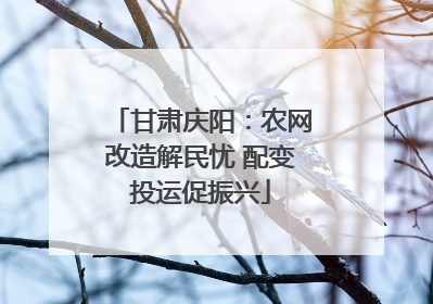 甘肃庆阳：农网改造解民忧 配变投运促振兴