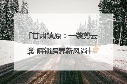 甘肃镇原：一袭剪云裳 解锁跨界新风尚