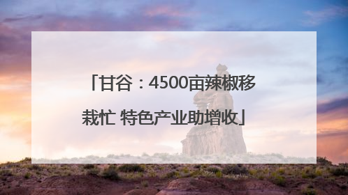 甘谷：4500亩辣椒移栽忙 特色产业助增收