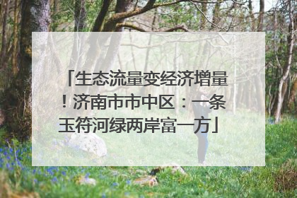 生态流量变经济增量！济南市市中区：一条玉符河绿两岸富一方