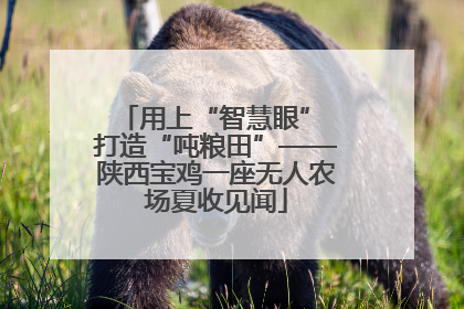 用上“智慧眼” 打造“吨粮田”——陕西宝鸡一座无人农场夏收见闻