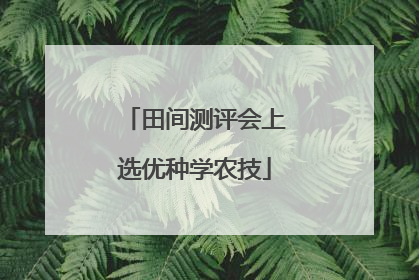 田间测评会上选优种学农技