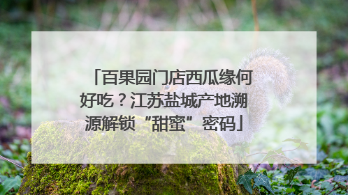 百果园门店西瓜缘何好吃？江苏盐城产地溯源解锁“甜蜜”密码