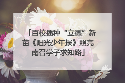 百校播种“立德”新苗《阳光少年报》照亮南召学子求知路