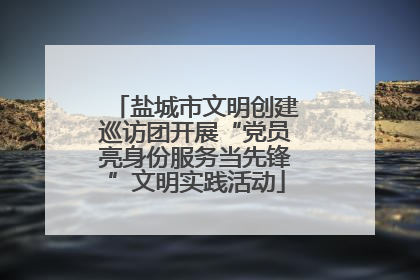 盐城市文明创建巡访团开展“党员亮身份服务当先锋”文明实践活动