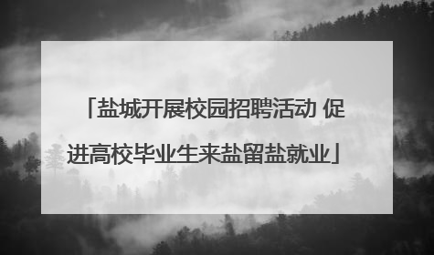 盐城开展校园招聘活动 促进高校毕业生来盐留盐就业