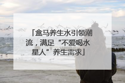 盒马养生水引领潮流，满足“不爱喝水星人”养生需求
