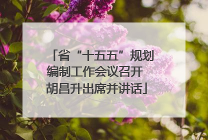 省“十五五”规划编制工作会议召开 胡昌升出席并讲话