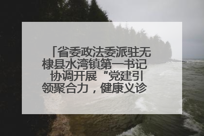 省委政法委派驻无棣县水湾镇第一书记 协调开展“党建引领聚合力，健康义诊惠乡亲”义诊活动