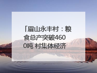 眉山永丰村：粮食总产突破4600吨 村集体经济收入三年倍增｜牵挂的村