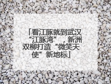看江豚就到武汉“江豚湾”，新洲双柳打造“微笑天使”新地标